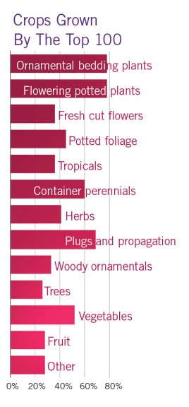 Top 100 Growers - Crops Grown