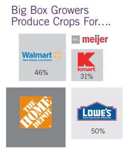 Top 100 Growers - Big Box Growers