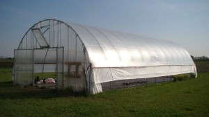 High Tunnels: Reduce Heating Costs While Improving Bedding Plant Quality [Slideshow]