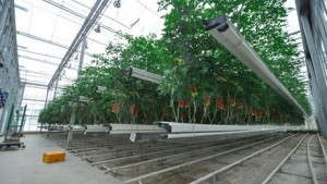 Futagrow Growing System Nominated For Greentech Innovation Award