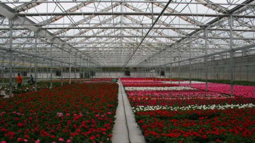 Lucas Greenhouses Gets A Jump On Spring Crops With Its Retractable Roof Greenhouse