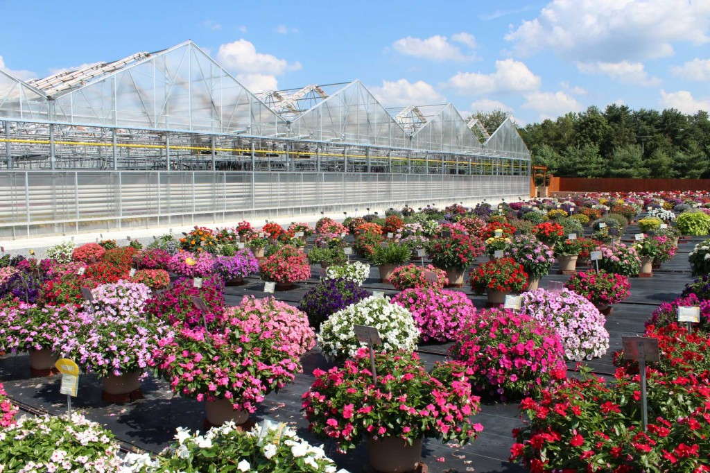AmericanHort Is Hosting A Greenhouse Tour In New Jersey This September