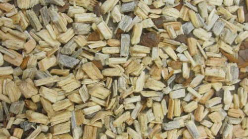 How Pine Wood Chips In Substrates Affect Plant Growth Regulators