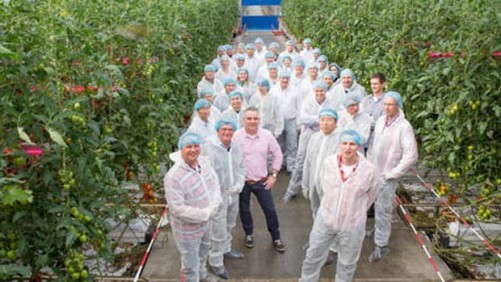 Philips Hosts High Wire Event For The First Time