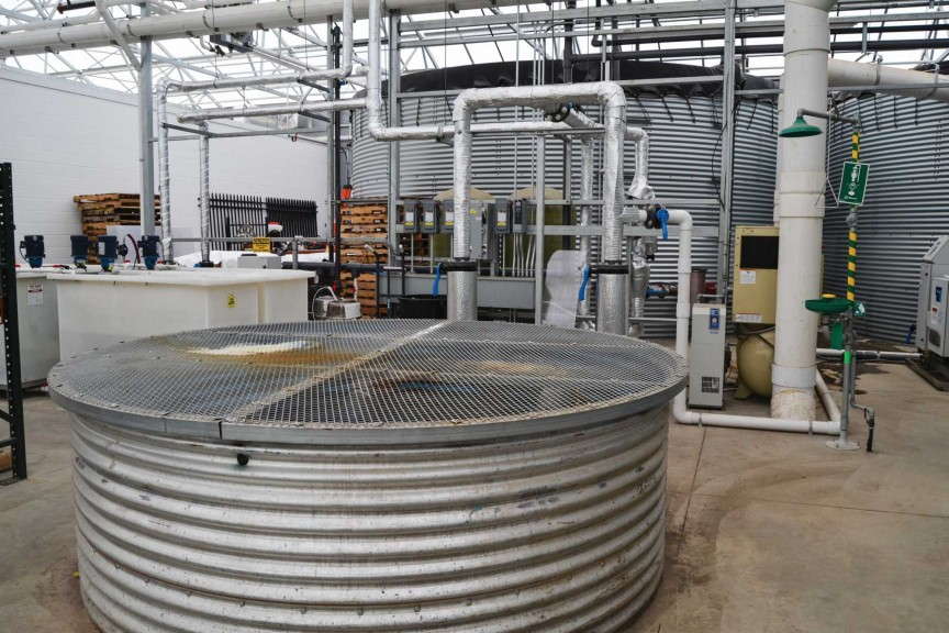 How To Maintain A Balanced Fertility Program