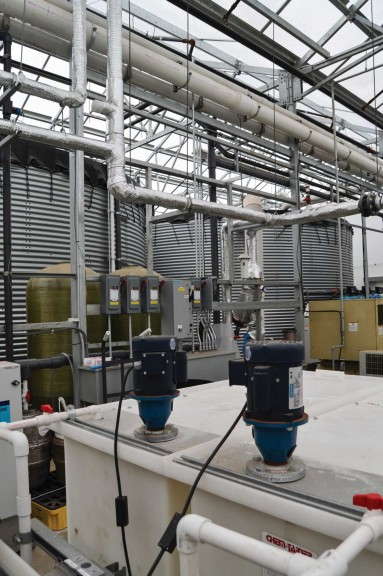 How To Maintain A Balanced Fertility Program