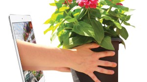 How Are You Using E-Commerce in Your Greenhouse Operation?