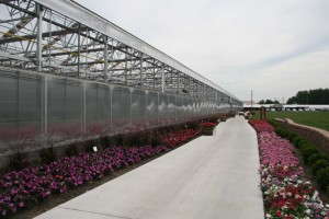 Lucas Greenhouses' Retractable Roof Greenhouse