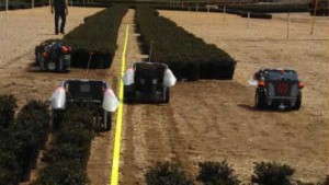 Free Robot Work Offer From Harvest Automation Makes Spacing Plants Easier For Growers