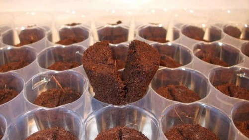 Jiffy Products International BV Adds New Orchid Propagation System To Its Line Of Products.