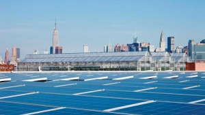 Gotham Greens Takes Locally Grown Produce To A Whole New Level