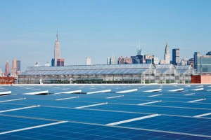 Gotham Greens with the New York City skyline in the background