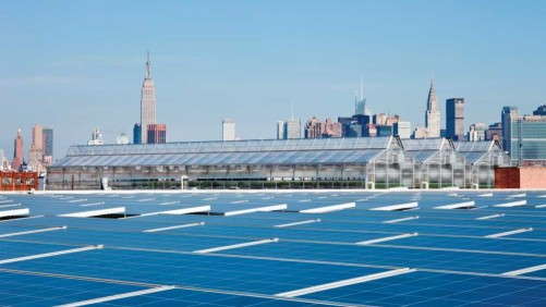 Gotham Greens To Build Rooftop Farm In Chicago