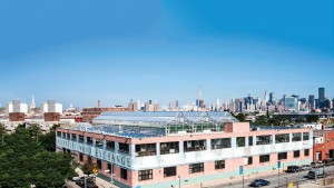 Nexus Greenhouses Is Optimistic For Expansion Into New Markets