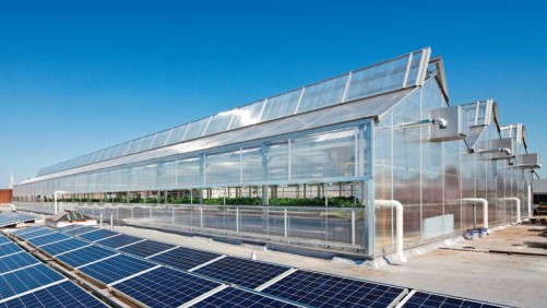 Growing Beyond New York, Gotham Greens Is Developing Projects In New Cities