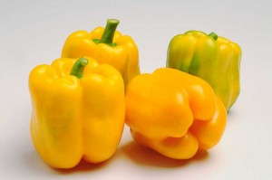 'Admiral' pepper from Syngenta Flowers