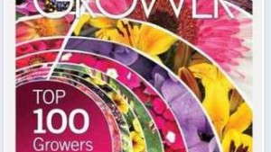 Is Facebook’s Free Ride For Marketers Over?