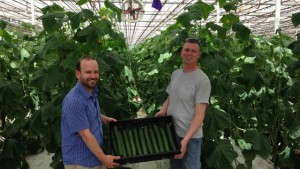 Meeting The Demand For Edibles: Altman Plants