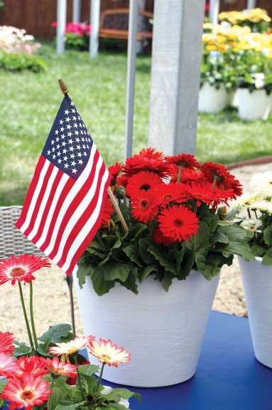 Non-traditional displays