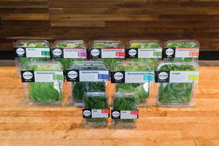 Gotham Greens' products 