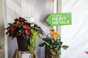 Tie-in current trends