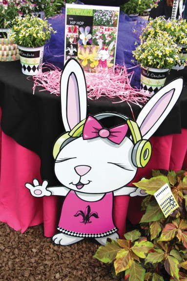 Appealing to the kids