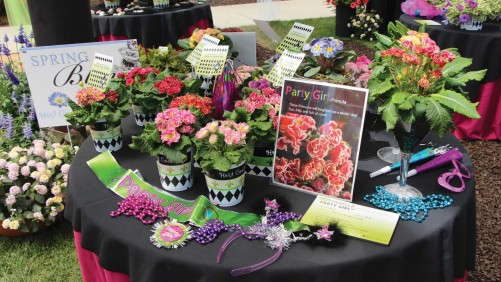 Marketing Ideas From California Spring Trials You Can Use