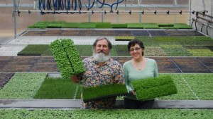 Meeting The Demand For Edibles: Peace Tree Farm