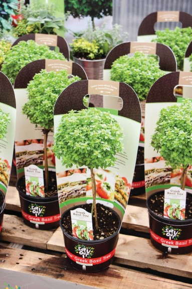 Informative packaging