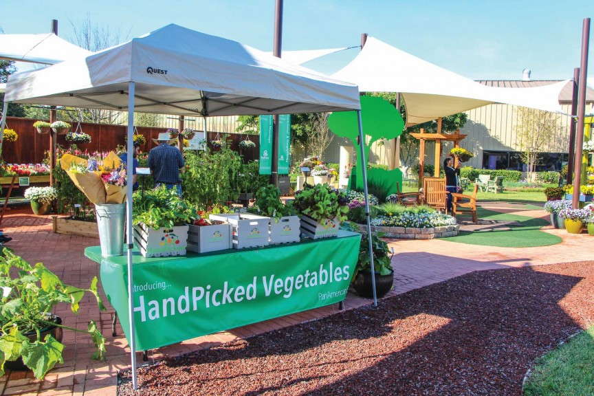 Farmers' market display