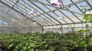 Historic Cotton Research Site Installs LumiGrow LED Lights