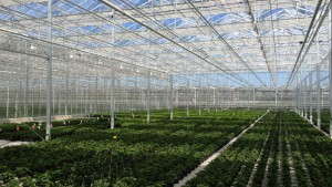 Smith Gardens Is Developing Growers With A New Initiative