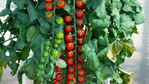 Spread Your Risk Beyond Spring Sales [Opinion]