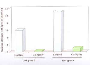 Figure 3. Calcium reduces bract spotting