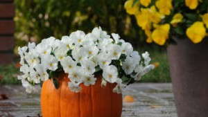 3 Ways To Extend The Fall Selling Season