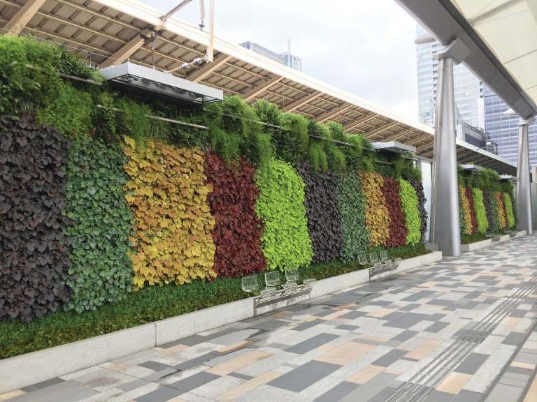 Green Wall at JR Tokyo Train Station