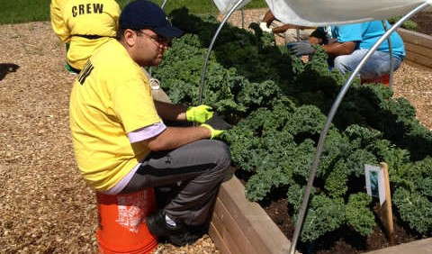 National Garden Bureau Eligible For Grant From Toro