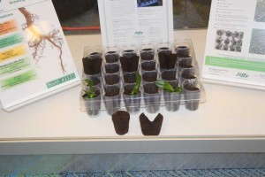 Preforma Orchid Plug from Jiffy Products