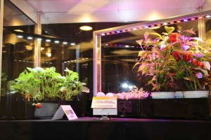Modern Horticultural Lighting Systems from Newlux
