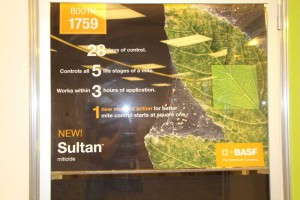 Sultan Miticide from BASF