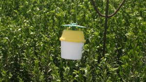 3 Benefits To CCFC’s Sustainability Program