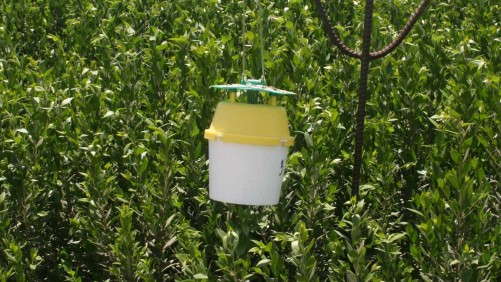 3 Benefits To CCFC’s Sustainability Program