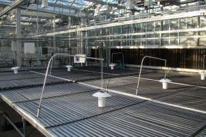 Bench-top root zone heating