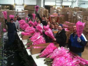 Employees packaging cut flowers
