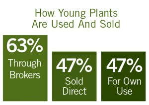 How Young Plants Are Used And Sold