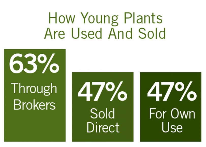 How Young Plants Are Used And Sold