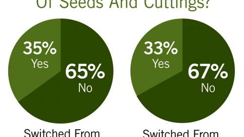 The State Of The 2014 Young Plant Market