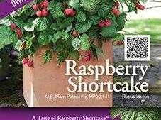 Reimagining Tags And Labels