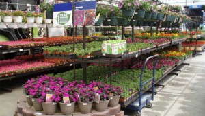 Lowe’s Announces Commitment To Phase Out Neonicotinoids By 2019