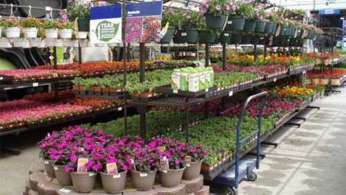 Lowe’s Announces Commitment To Phase Out Neonicotinoids By 2019